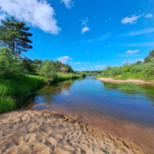 Очарование Медведицы: лёгкий сплав на байдарках (всё включено)