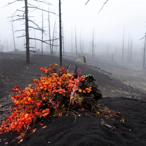 Туда, где горы дышат огнём: сплав, восхождение и джиппинг в мини-группе