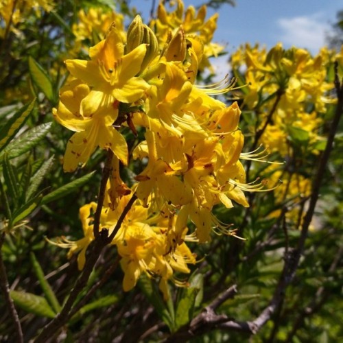Адыгея для всей семьи: прогулки, мастер-классы и водные процедуры