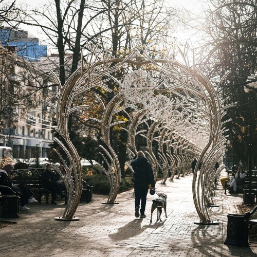 Фотопрогулка по зимнему Краснодару