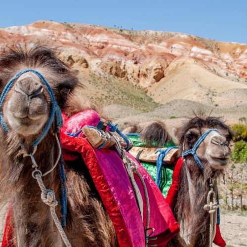 Золотое кольцо Алтая: долина Чулышман, Телецкое озеро и треккинг к труднодоступному водопаду