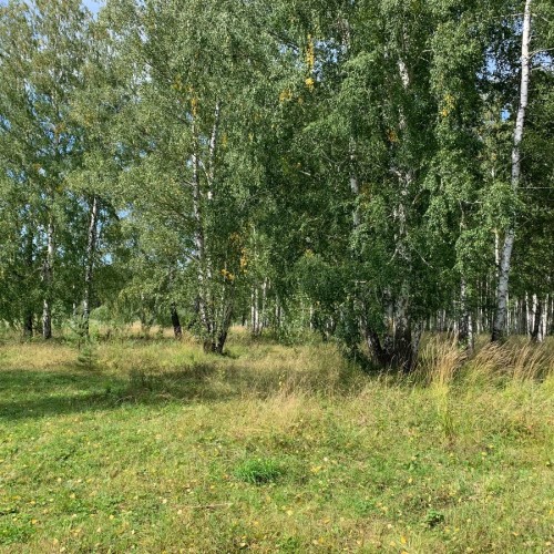 Екатеринбург, Сысерть и Тальков Камень: по следам Бажова