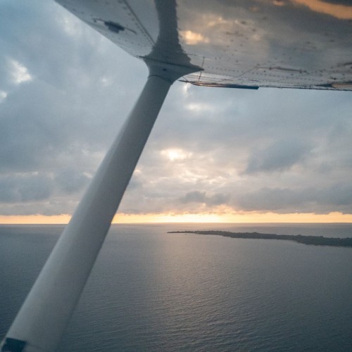 Над Петергофом — на самолёте!