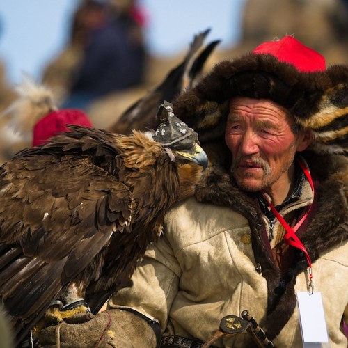 Из Алтая, по Чуйскому тракту — в Монголию на фестиваль беркутчи с проживанием в юрте