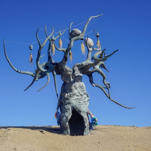 Своей компанией на Ольхон: корпоративное путешествие к берегу Байкала