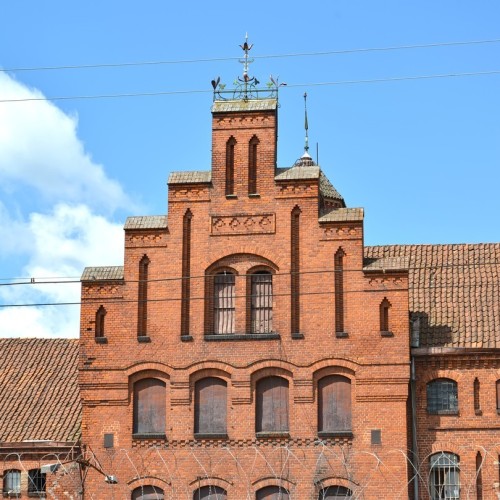 Отпуск в Калининграде и Светлогорске с экскурсиями на выбор