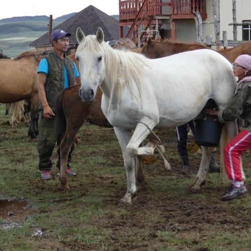 Наедине с Алтаем: высокогорные озёра, живописные долины и неземной ландшафт (всё включено)