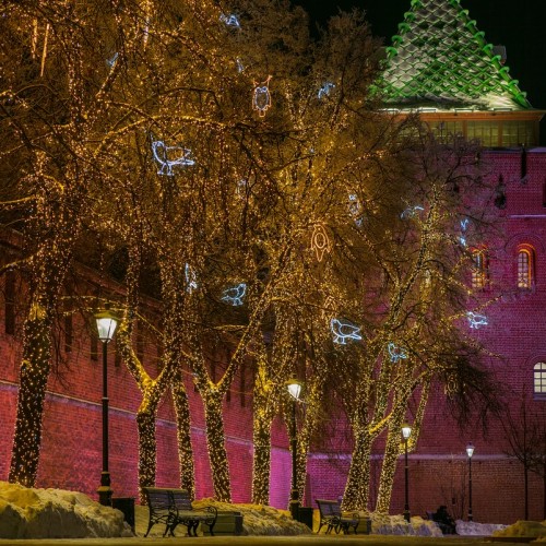 Надёжный Нижний: экскурсия по территории кремля (в группе)
