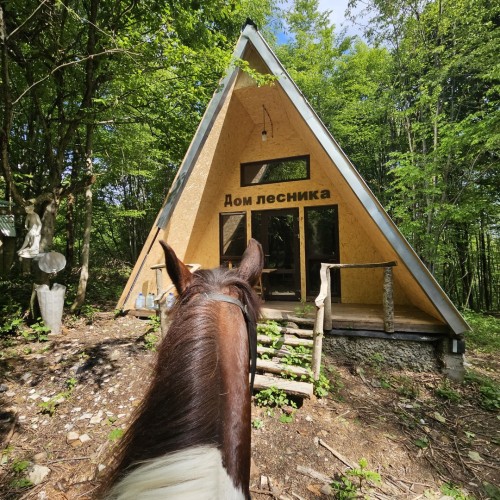 Приключения на лошадях в Сочи для новичков и опытных: по ущельям, долинам и лесам