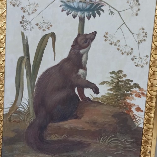 Звери в Эрмитаже: авторская экскурсия