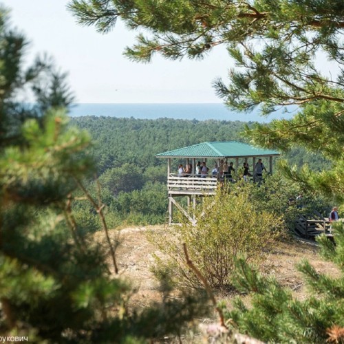 Куршская коса — природное чудо Балтики (из Светлогорска)