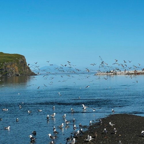 Кунашир до мурашек: путь на «другую» планету