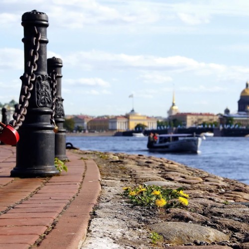 Петербург на Porsche Cayenne с панорамной крышей