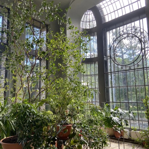 Два дома в одном: экскурсия по особнякам Матильды Кшесинской и Василия Бранта