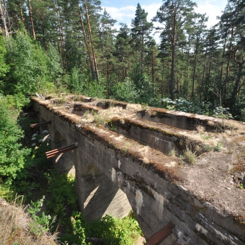 Из Санкт-Петербурга — в заброшенный форт на берегу Финского залива