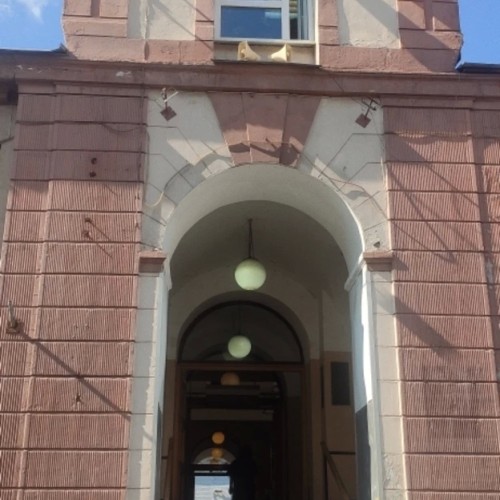 Сытная экскурсия по старейшему рынку Петербурга — с пирожками и чаепитием