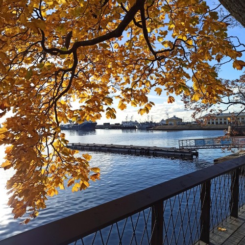 Кронштадт — мифы и реальность