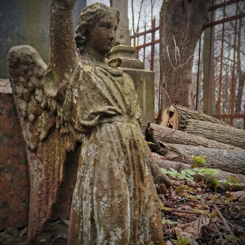 Смоленское кладбище: история и люди