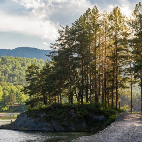 Трансфер + экскурсия: с корабля на бал, в прекрасный Горный Алтай!