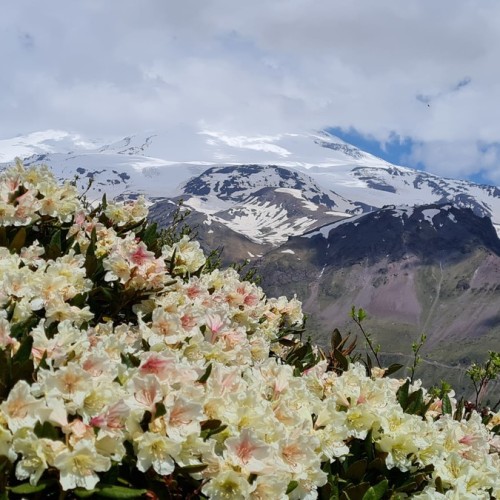 Палитра впечатлений на Кавказе: Кисловодск, Приэльбрусье, Домбай