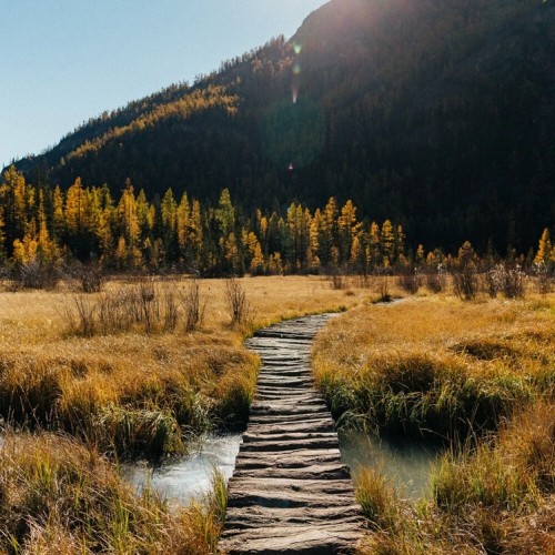 Конный тур для новичков по осеннему Алтаю с проживанием на базе. Всё включено