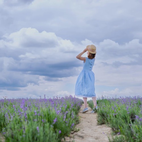 Со вкусом вина и ароматом лаванды: в Липецкую и Тульскую области из Москвы