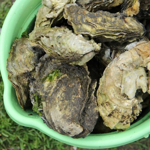 Путешествие от Сахалина до Итурупа: вулканы, горячие источники и океанские просторы