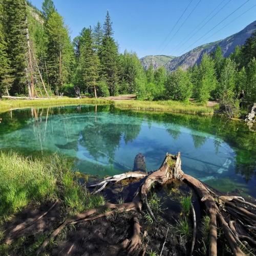 Алтай по максимуму: горные перевалы, прогулка по Телецкому озеру и высадка на Марсе