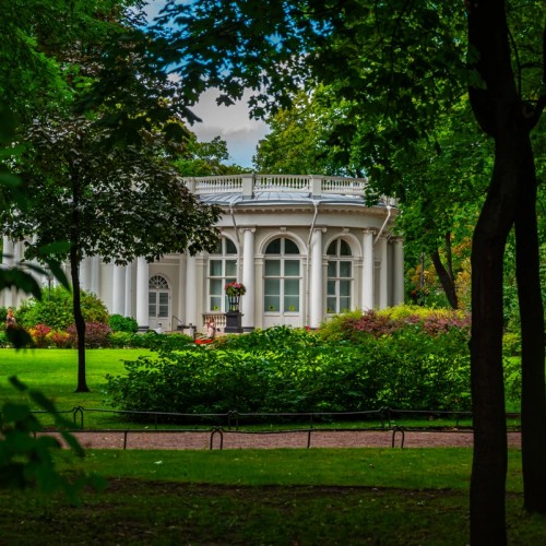 Музеи, театры и светская жизнь Петербурга