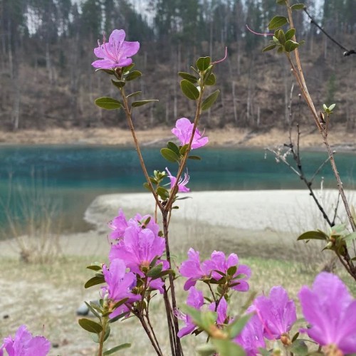 На Алтай за чудесами, энергией и видами (в сборной мини-группе)