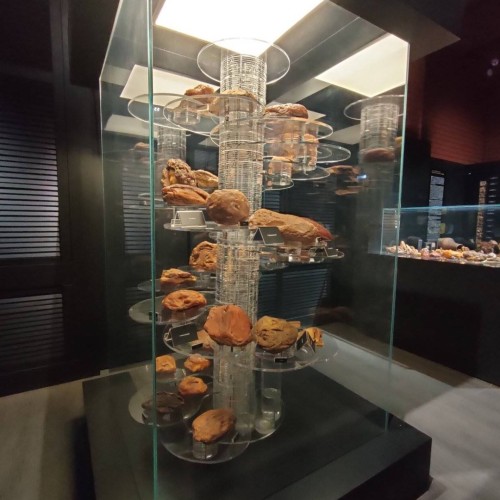 Первый раз в Калининград: истории знаковых мест и редко посещаемых локаций