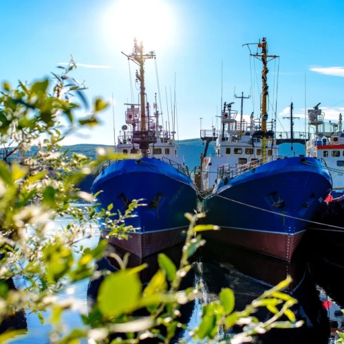 В Мурманск и Териберку из Санкт-Петербурга: Карелия, Кольский полуостров и города по пути