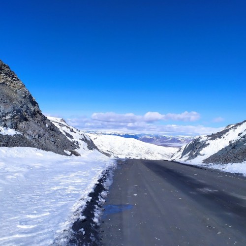 Из Алтая, по Чуйскому тракту — в Монголию на фестиваль беркутчи с проживанием в юрте
