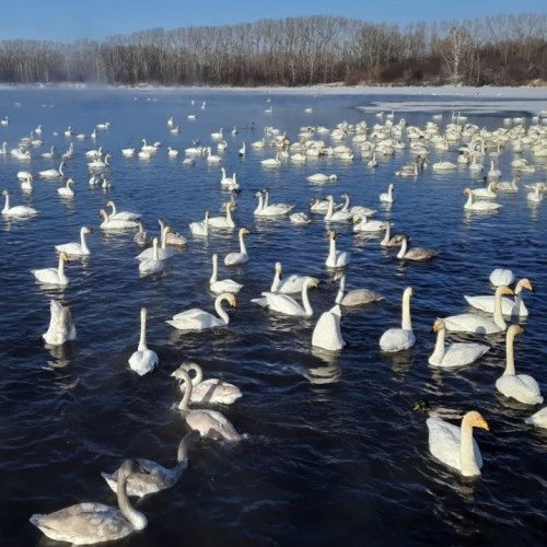 На Алтай за чудесами, энергией и видами (в сборной мини-группе)