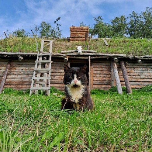 Дорогами викингов: мужской поход по Ладоге на драккаре (всё включено)