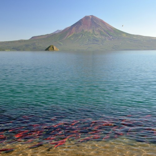 Увидеть душу Камчатки: джип-тур по неизведанным местам с круизом по Курильскому озеру (всё включено)