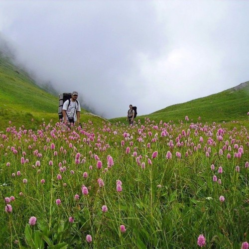 От Псебая до Красной Поляны: поход по горам с выходом к морю