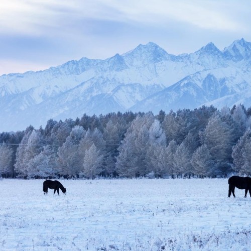 Выходные в Тункинской долине: в Аршан из Иркутска в мини-группе