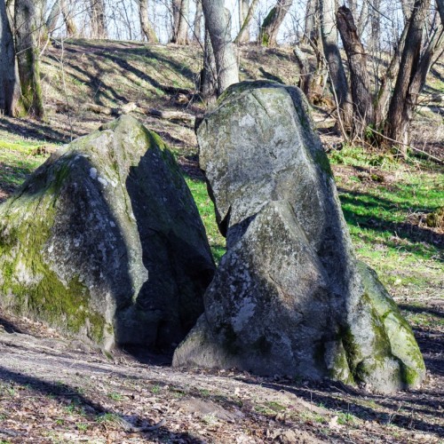 Самбия — от расцвета до заката (из Зеленоградска)