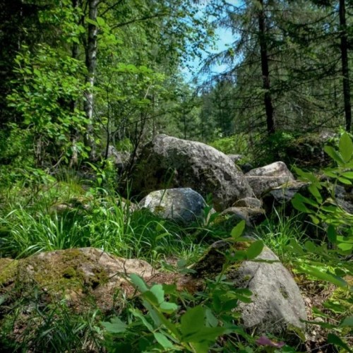 Комфортный треккинг-тур по национальным паркам Южного Урала