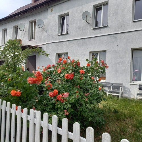 Тур-знакомство с Калининградом и окрестностями: Светлогорск, Зеленоградск, Янтарный и Балтийск