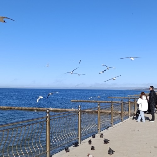 Куршская коса по следам королевы Луизы