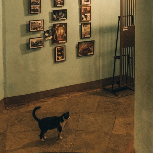 Петербург — это мистика, тайны и легенды