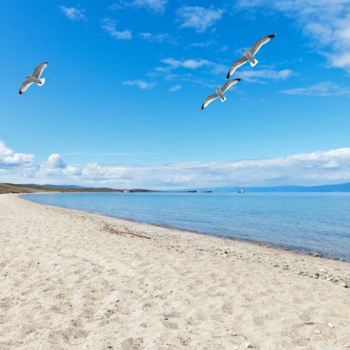 Мысы, бухты, предгорье и Ольхон: путешествие по живописным окрестностям Байкала