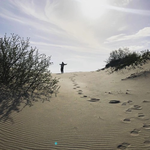 Насыщенные выходные в Калининградской области: автопутешествие только для вашей компании
