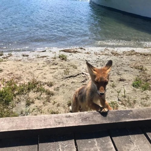 «Всё включено» на Байкале: экскурсии, водная прогулка, погружение в традиции и вкуснейшая кухня