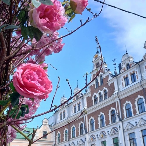 Путешествие из Петербурга в Средневековье: два дня в Выборге