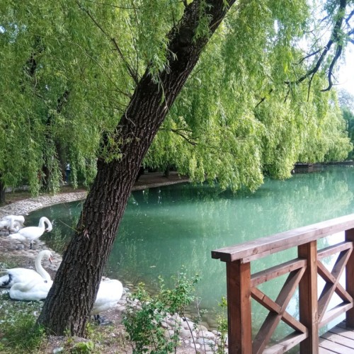 Владикавказ: архитектура, культура, городские истории