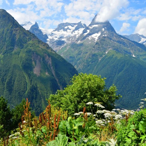 На джипах к горам-исполинам в мини-группе: Домбай, Архыз, Эльбрус и Чегем (из любого города КМВ)