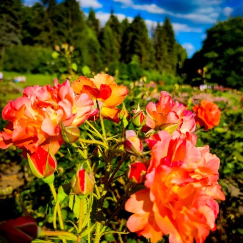 Туда, где горы и минеральная вода: Кисловодск, Пятигорск, Ессентуки и Домбай